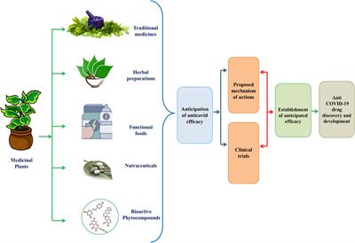 Traditional Herbal Medicines, Bioactive Metabolites, and Plant Products Against COVID-19: Update on Clinical Trials and Mechanism of Actions